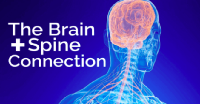 The Brain + Spine Connection image