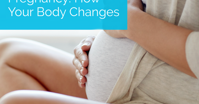 Pregnancy: How Your Body Changes image